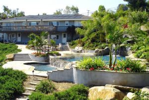 A wide view of a pool and spa that is obscure by lush plants and trees.